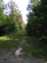 Klik op de foto voor groter formaat